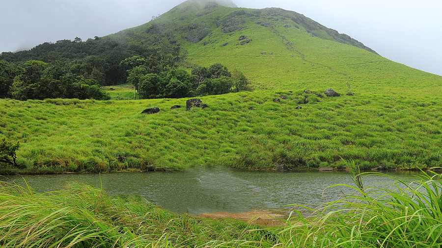 A long shot of a mountain beside a stream that is fully surrounded by greenery | Vythiri Resort, Wayanad